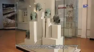 85 Regional Museum of History and Ecomuseum with aquarium- Rousse