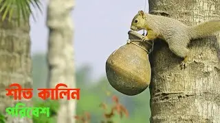 শীতের গ্রাম জীবন কুয়াশা মাখা সকাল VS শহুরে জীবন  Natural With Jubayer
