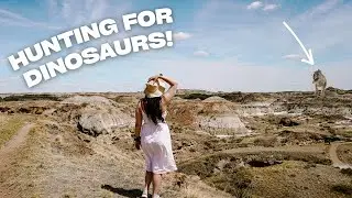 Jurassic World in Canada?! FOSSIL HUNTING IN THE ALBERTA BADLANDS | Canada Road Trip