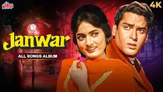 JANWAR (1965) Full Album Jukebox | शम्मी कपूर का अनोखा अंदाज़ और रफ़ी की आवाज़ ! 60's Superhit Music