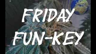 Friday Fun-Key