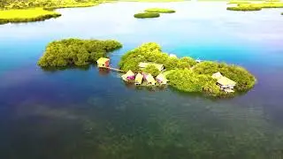 Urraca Private island - Eco Resort