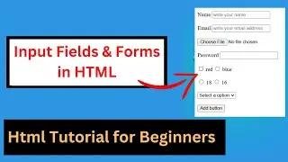 Input Field & Forms in HTML | HTML Tutorial part 10