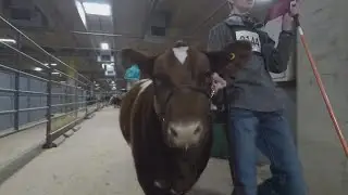 Tickets on sale for 2023 Fort Worth Stock Show & Rodeo