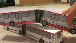 Paper Muni Neoplan AN460’s & Paper Muni 2015 XDE60 6516
