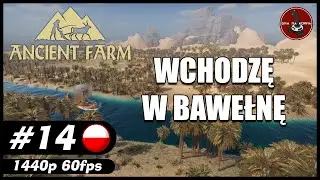 Wchodzę w bawełnę || #14 || Ancient Farm gameplay PL