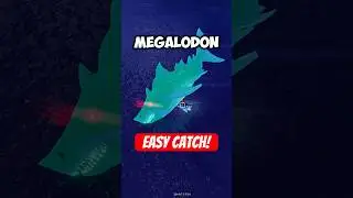 🚨 HOW TO CATCH THE &ldquo;MEGALODON&rdquo; IN FISCH 🎣 #robloxfyp #fisch #roblox