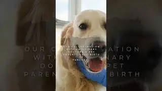 The furcare Story