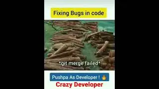 Pushpa: As a crazy developer. Fixing bugs in code. Funny Developer Programming.