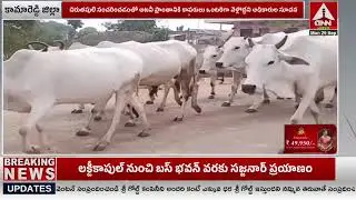 గొర్రెల మందపై చిరుత పులి దాడి..పరిశీలించిన ఫారెస్ట్ అధికారులు | Leopard attack on sheep herd