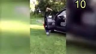 Kids are awesome 2018