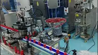 Rotary bottle magnetic pump filling and capping machine