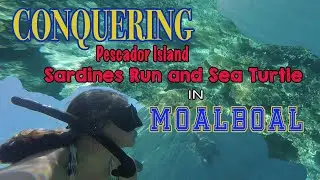 Moalboal Adventure I My Freediving Journey