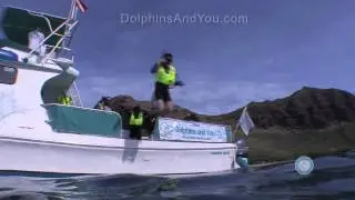 Dolphins And You 45 sec Promo video