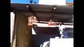liberdadi x d&eacute;d&eacute;d&eacute;u