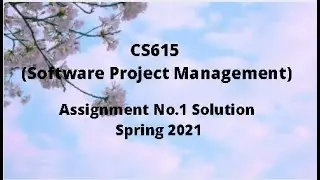 CS615 (Software Project Management) Assignment No.1 Idea Solution Spring 2021