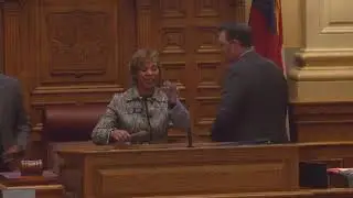 Georgia Senate 2026 - Day 12 AM Session