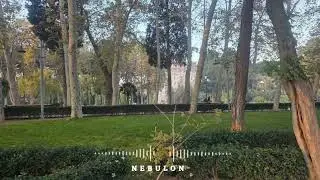 Sevda Xanim - Nebulon
