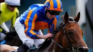 Derby favourite THE LION IN WINTER impressive victory in Acomb Stakes (G3)