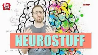 Neurostuff 1: how many cells are in the BRAIN? [ENG SUB]