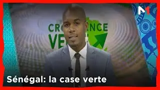 Croissance Verte .. S&eacute;n&eacute;gal: la case verte promeut l'&eacute;ducation &agrave; l'&eacute;cocitoyennet&eacute;
