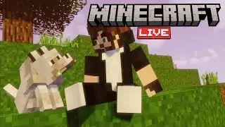 🔴[FR] Live Minecraft SERVEUR CRACK ON : LES NOUVEAUX EMPIRES, ici que le plus grand r&egrave;gne !🔥🫅