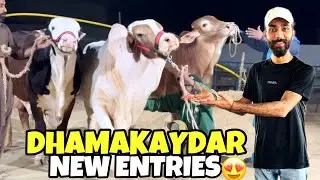 Alhamdulillah Behtreen 3 New Entries Agayein😍 | Mera Surprise Cancel Hogaya😔