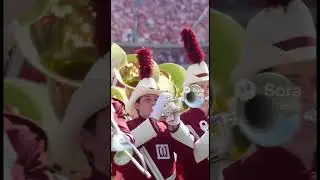 Sooners Fan Rides a Longhorn During Rivalry Chaos! 😱🔥