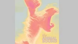 The Animal Sound - 