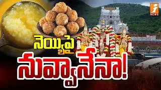 నెయ్యిపై నువ్వానేనా! | TTD Laddu Ghee Controversy | TDP Vs YCP | AP Politics | iNews