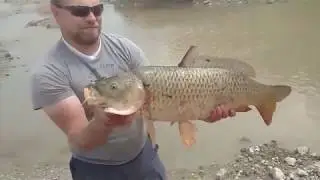 Catching Carp with Cast Nets
