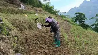 Today my family and I went to plant peanuts.#xuhuongyoutube #music #video