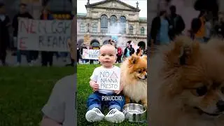 😂 Momenti Divertenti Di Pinuccio In Protesta #shorts