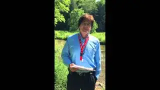 Free Ontario Solar Information on MicroFIT Program and Options