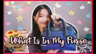 😋👜 CÓ GÌ TRONG TÚI CỦA TRÂN? | What's In My Purse 2018 🌟 | Diane Le