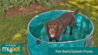 Pet Bath/Splash Pools North States MyPet