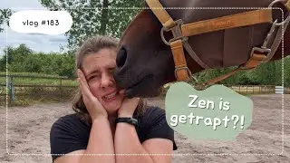 Zen heeft een trap gehad, hoefschoenen en een decoupeerzaag? 🤔 - Paard Optimaal - Vlog #183