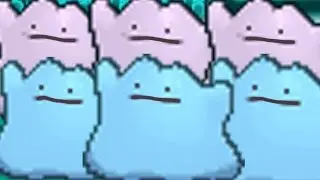 FULL DITTO TEAM!