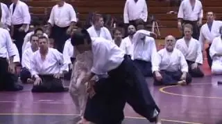 Y. Okamoto Sensei, Birankai Summer Camp 2011