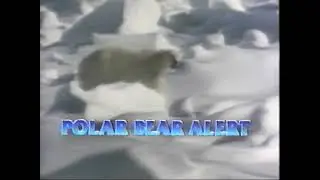 VHS Trailer - National Geographic Video - Polar Bear Alert