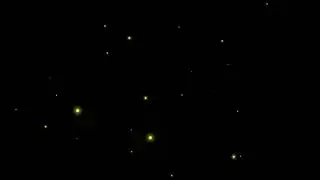 Firefly Effect | After Effects Firefly Effect