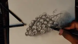 How to draw grapes 🍇 with Graphite 🔴 Live 🔴 Vlog 19