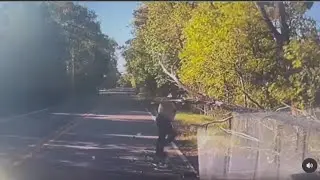 Santa Fe County Sheriff's deputy loses battle against tree branch