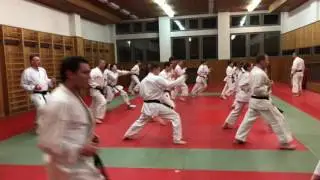 Richard Ruzicka - JKA Karate Training (select HD/4K)