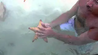 Estrellas de Mar - Explicacion Ricardo Tapia