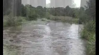 River Tame