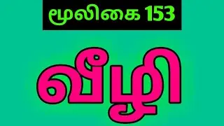 விகிலி மூலிகை|விழுதி|வீழி|Cadaba fruticosa|Vikili herbal plant|Alasal|அலசல்