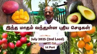 🍒Singapore Cherry, Alphonso Mango & Medicinal Plants in July 2nd Load – Don't Miss🌿ஆடி மாதம் ஸ்பெஷல்