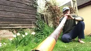 Musical Forager:  food for the soul with didgeridoo player Chris Holland: Nettle (TEST piece)
