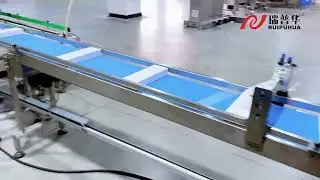 Customized Industrial Parallel Robot